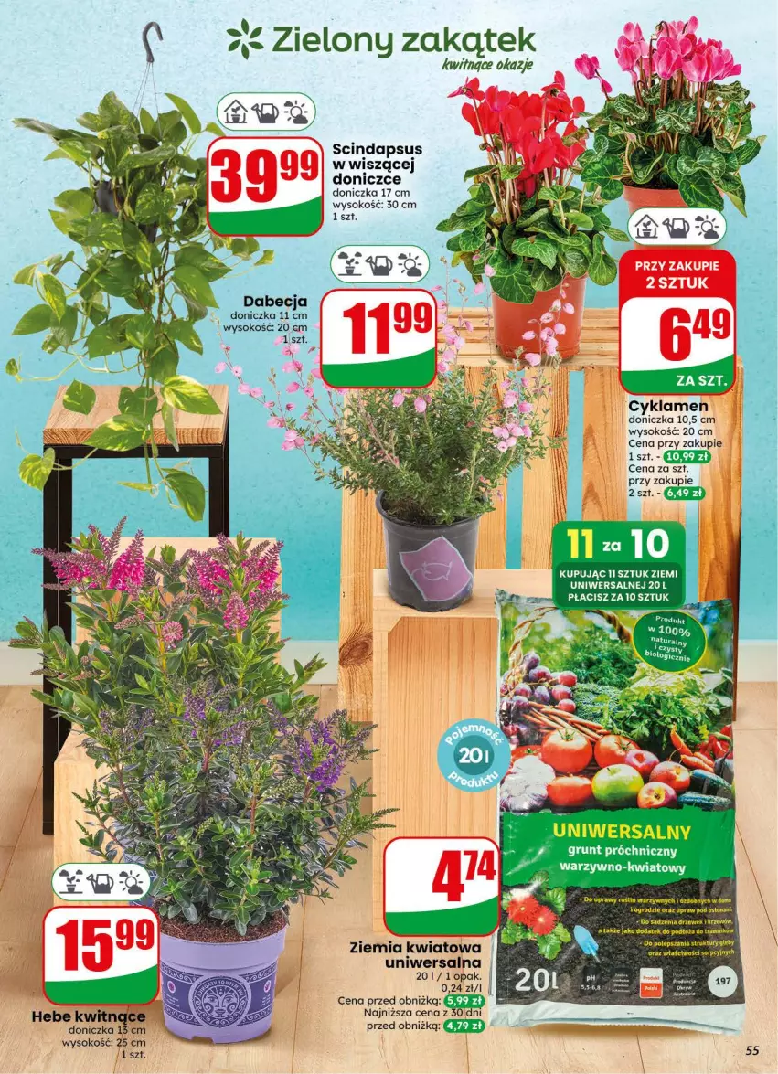 Gazetka promocyjna Dino - Gazetka 31 / 2026 - ważna 29.07 do 04.08.2026 - strona 55 - produkty: Sok