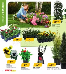 Gazetka promocyjna Bricomarche - Gazetka - Gazetka - ważna od 02.04 do 02.04.2022 - strona 16 - produkty: Róża, Bell, Bella