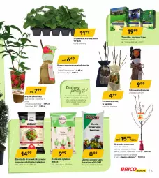 Gazetka promocyjna Bricomarche - Gazetka - Gazetka - ważna od 02.04 do 02.04.2022 - strona 17 - produkty: Ser, Róża, Morela, Truskawki, Dzieci, Ogród