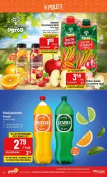 Gazetka promocyjna PoloMarket - Gazetka - ważna od 26.09 do 26.09.2023 - strona 37 - produkty: Napój gazowany, Smoothie, Napój, Ogród, Nektar