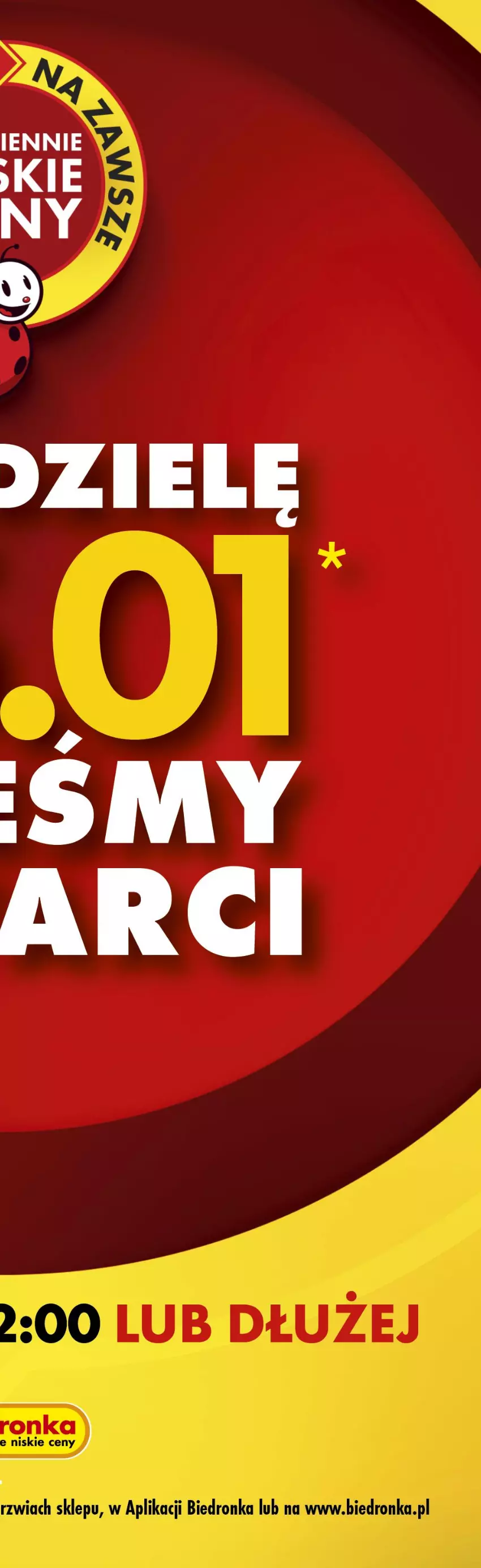 Gazetka promocyjna Biedronka - Gazetka - ważna 22.01 do 29.01.2026 - strona 4