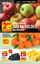 Gazetka promocyjna Biedronka - Gazetka - Gazetka - ważna od 29.01 do 29.01.2026 - strona 26 - produkty: Mandarynki, Borówka, Klementynki