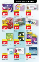 Gazetka promocyjna Biedronka - Gazetka - Gazetka - ważna od 29.01 do 29.01.2026 - strona 66 - produkty: Naturell, Papier, Majtki, Tampony, Velvet, Cleanic, Ręcznik, Rolki, Chusteczki, Always, Podpaski, Wkładki, Ogród, Naturella, Fa