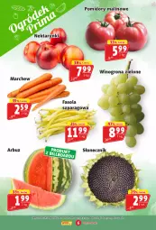 Gazetka promocyjna Prim Market - Gazetka - ważna od 20.08 do 20.08.2025 - strona 6 - produkty: Fasola, Winogrona, Fasola szparagowa, Arbuz, Wino, Pomidory, Nektar, Fa
