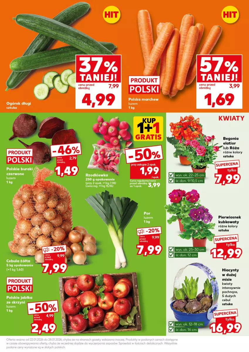 Gazetka promocyjna Kaufland - Mocny Start - ważna 26.01 do 28.01.2026 - strona 9 - produkty: Buraki, Cebula, Hiacynt, Jabłka, Ogórek, Por, Róża, Rzodkiewka