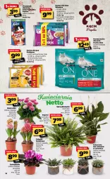 Gazetka promocyjna Netto - Oferta tygodnia - Gazetka - ważna od 13.03 do 13.03.2021 - strona 12 - produkty: Kurczak, Pur, Whiskas, Purina, Wołowina, Felix, Gala, Przysmak dla kota, Sukulent, Pedigree