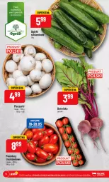 Gazetka promocyjna PoloMarket - Gazetka pomocyjna - Gazetka - ważna od 23.05 do 23.05.2023 - strona 14 - produkty: Piec, Inka, Ogród, Pomidory, Fa