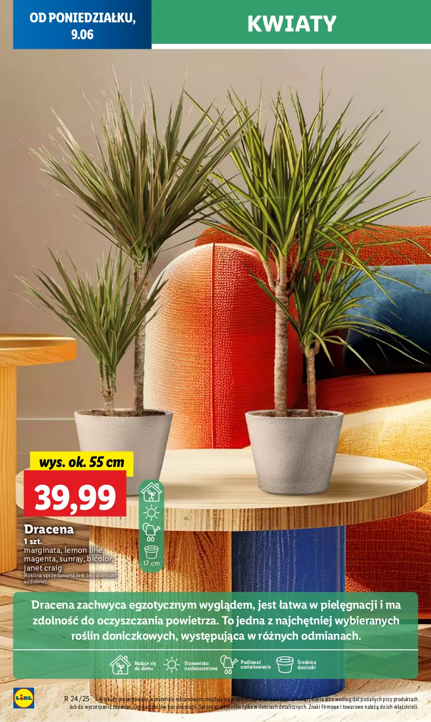 Gazetka promocyjna Lidl - GAZETKA - ważna 09.06 do 11.06.2025 - strona 64 - produkty: BIC, Gin, O nas