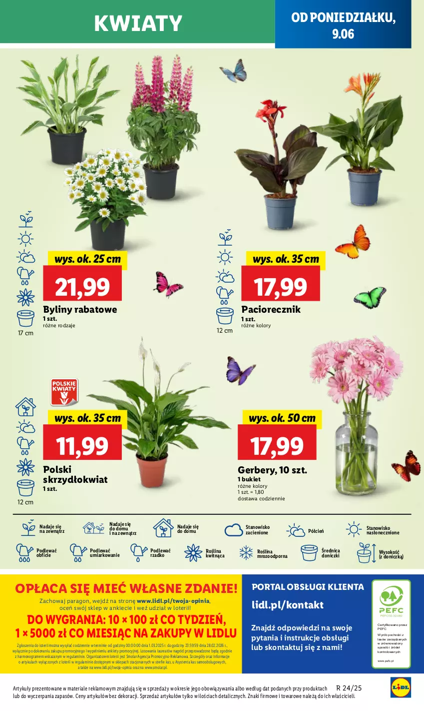 Gazetka promocyjna Lidl - GAZETKA - ważna 09.06 do 11.06.2025 - strona 65 - produkty: Bukiet, Cień, Gerber, Gra, Laur, Mola, O nas, Por, Portal, Sok