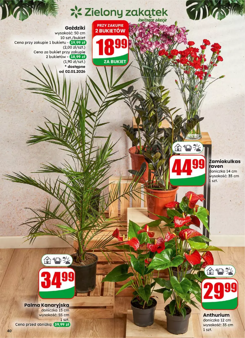 Gazetka promocyjna Dino - Gazetka 01 / 2026 - ważna 31.12.2025 do 05.01.2026 - strona 40 - produkty: Bukiet, Palma, Sok