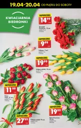 Gazetka promocyjna Biedronka - Od piątku - Gazetka - ważna od 20.04 do 20.04.2024 - strona 17 - produkty: Sok, Tulipan, Róża
