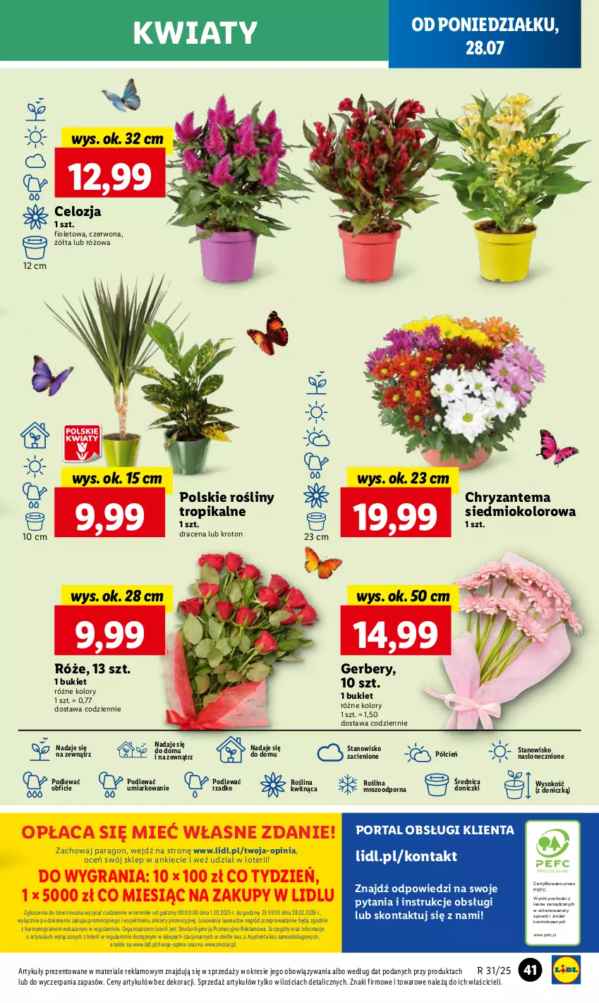 Gazetka promocyjna Lidl - GAZETKA - ważna 28.07 do 30.07.2025 - strona 49 - produkty: Bukiet, Chryzantema, Cień, Gerber, Gra, Laur, Mola, O nas, Por, Portal, Sok