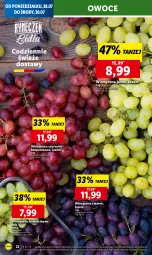 Gazetka promocyjna Lidl - GAZETKA - Gazetka - ważna od 30.07 do 30.07.2025 - strona 28 - produkty: Winogrona, Winogrona bezpestkowe, Owoce, Wino