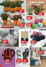 Gazetka promocyjna Twoj Market - Gazetka - ważna od 31.10 do 31.10.2023 - strona 21 - produkty: Koc, Karp, Kalanchoe, Prześcieradło, Wazon, Wełna