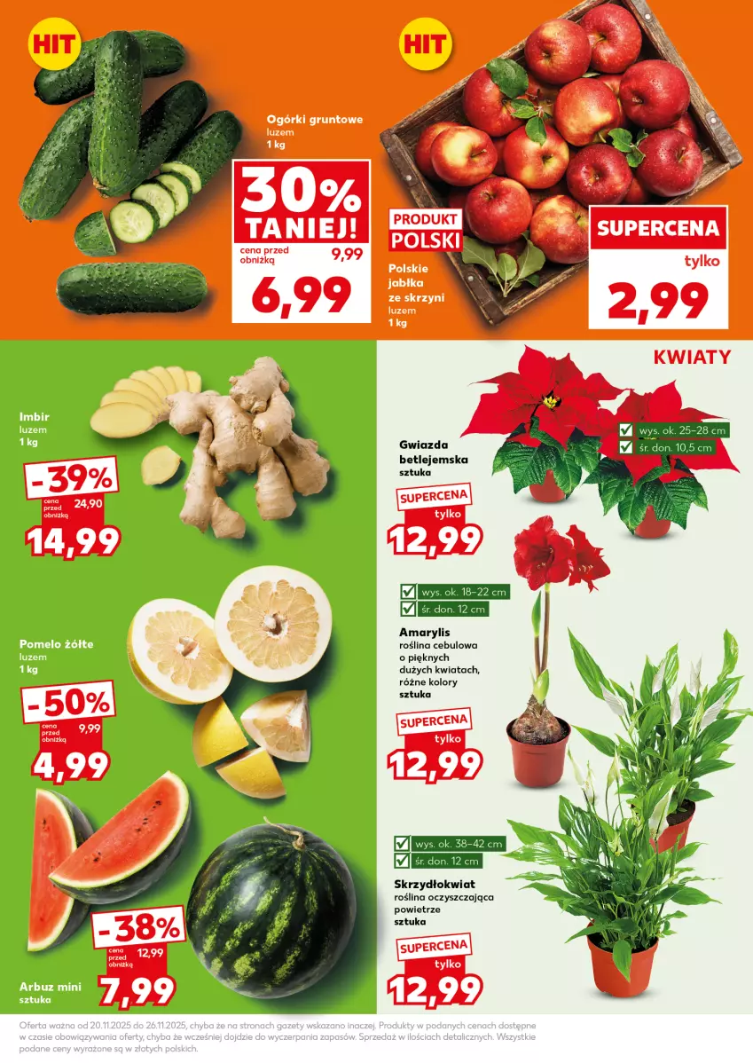 Gazetka promocyjna Kaufland - Mocny Start - ważna 24.11 do 26.11.2025 - strona 11 - produkty: Amarylis, Gwiazda, Imbir, Pomelo
