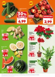 Gazetka promocyjna Kaufland - Mocny Start - Gazetka - ważna od 26.11 do 26.11.2025 - strona 11 - produkty: Amarylis, Gwiazda, Pomelo, Imbir