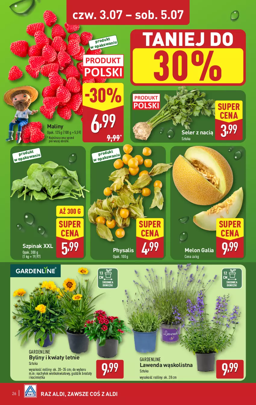 Gazetka promocyjna Aldi - Pełna oferta - ważna 30.06 do 05.07.2025 - strona 26 - produkty: Koc, Maliny, Melon, Sok, Szpinak