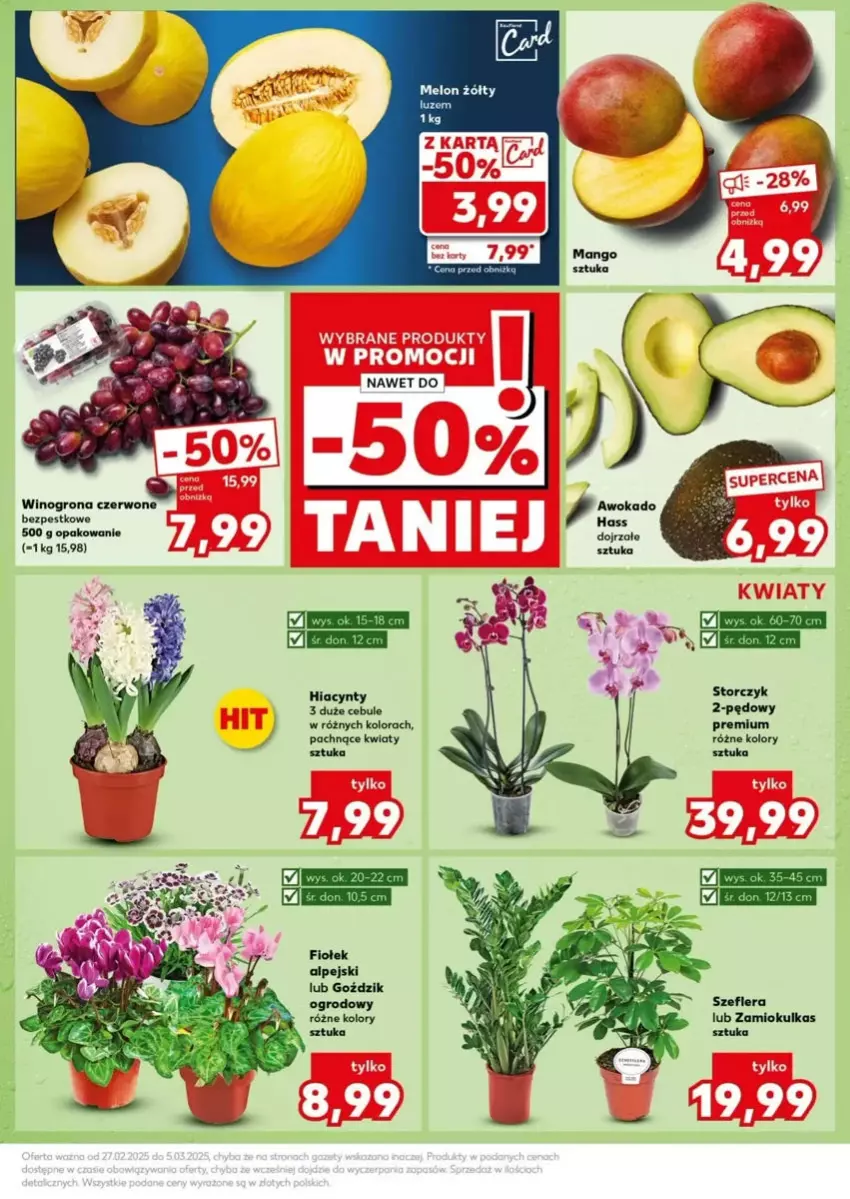 Gazetka promocyjna Kaufland - ważna 03.03 do 05.03.2025 - strona 5 - produkty: Hiacynt, Melon, Storczyk, Wino, Winogrona