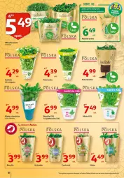 Gazetka promocyjna Auchan - 25 Urodziny #3 Hipermarkety - Gazetka - ważna od 13.05 do 13.05.2021 - strona 6 - produkty: Pietruszka, Kolendra, Bazyl, Bazylia, Mięta