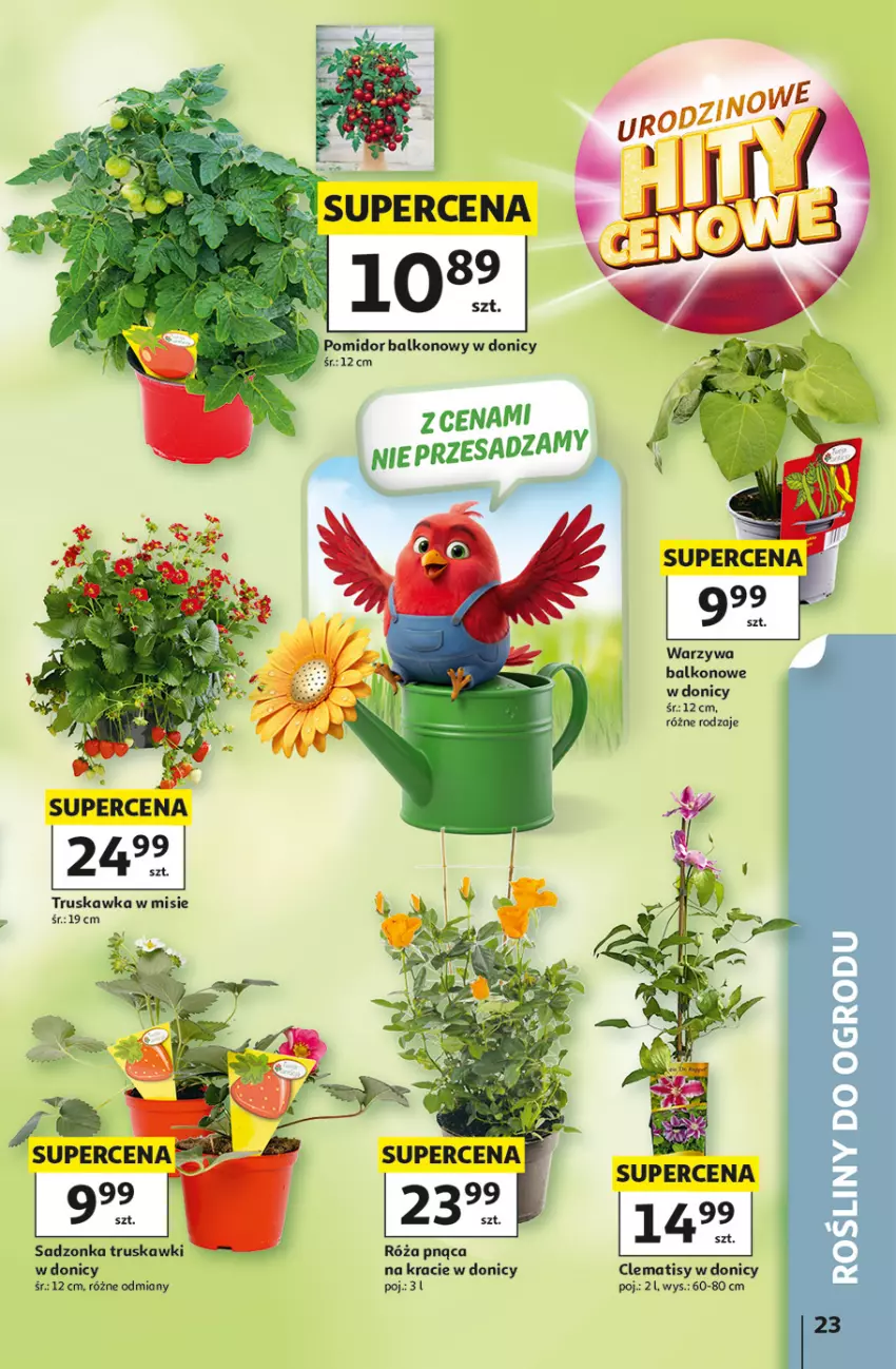 Gazetka promocyjna Auchan - 30 Lat Hipermarket - ważna 07.05 do 13.05.2026 - strona 23 - produkty: Róża, Truskawki