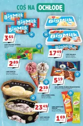 Gazetka promocyjna Groszek - Gazetka - ważna od 16.05 do 16.05.2023 - strona 7 - produkty: Gry, Kaktus, Big Milk, Jeżyki, Lody, Algida, Hortex, LG