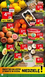 Gazetka promocyjna Delikatesy Centrum - Dyskontowe ceny w Delikatesach Centrum - Gazetka - ważna od 06.12 do 06.12.2023 - strona 18 - produkty: Grzyby, Grejpfrut