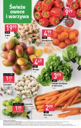 Gazetka promocyjna Stokrotka - Supermarket - Gazetka - ważna od 24.01 do 24.01.2024 - strona 7 - produkty: Mandarynki, Warzywa, Sałata masłowa, Papryka czerwona, Papryka, Czosnek, Siatka, Sałat, Limonka, Owoce, Masło, Mango, Mięso, Imbir