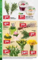 Gazetka promocyjna Stokrotka - Market - Gazetka - ważna od 01.04 do 01.04.2026 - strona 12 - produkty: Chrzan, Warzywa, Tulipan, Rzeżucha, Optima, Bukiet, Owoce, Mięso