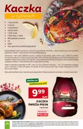 Gazetka promocyjna Stokrotka - Market - Gazetka - ważna od 01.04 do 01.04.2026 - strona 16 - produkty: Warzywa, Kaczka, Optima, Owoce, Mięso