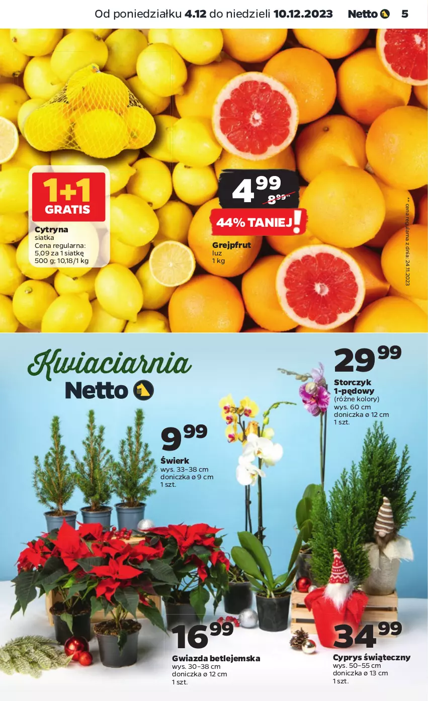 Gazetka promocyjna Netto - Artykuły spożywcze - ważna 04.12 do 10.12.2023 - strona 5 - produkty: Grejpfrut, Gwiazda, Siatka, Storczyk