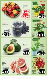 Gazetka promocyjna Kaufland - Mocny Start - Gazetka - ważna od 24.01 do 24.01.2024 - strona 13 - produkty: Gerber, Pomelo