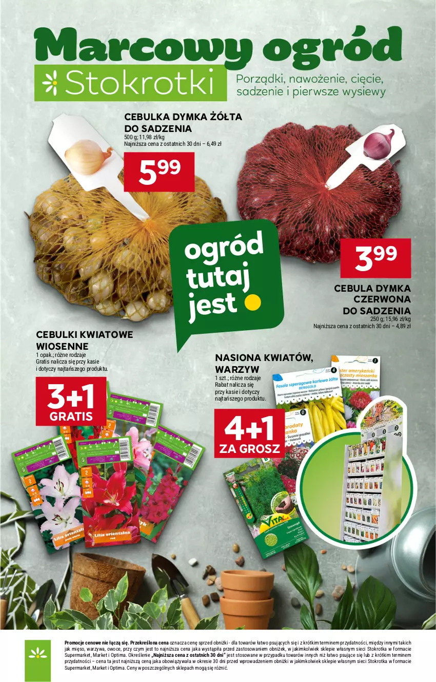 Gazetka promocyjna Stokrotka - Supermarket - ważna 12.03 do 18.03.2026 - strona 39 - produkty: Cebula, Gra, Mięso, Optima, Owoce, Warzywa