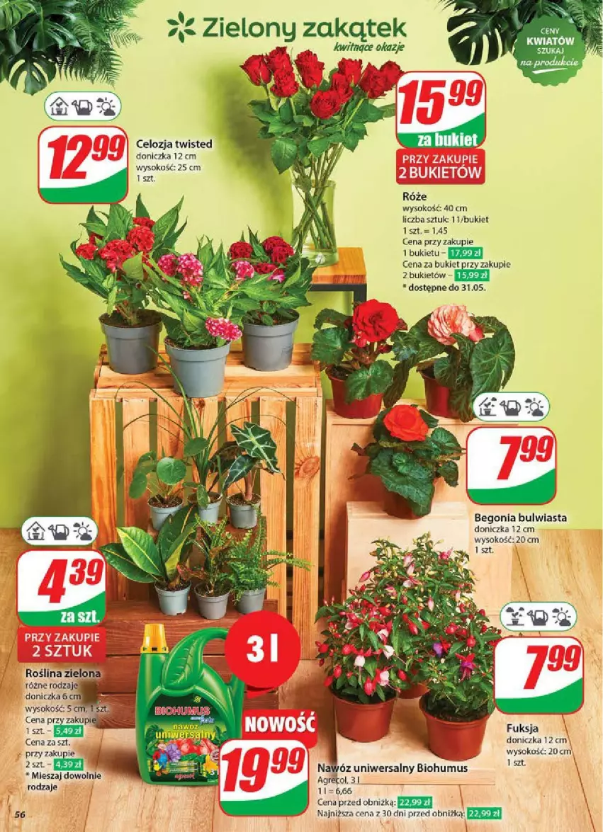 Gazetka promocyjna Dino - ważna 28.05 do 03.06.2025 - strona 52 - produkty: Biohumus, Bukiet, Mus, Nawóz, Sok