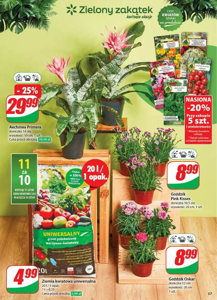 Gazetka promocyjna Dino - ważna 28.05 do 03.06.2025 - strona 53 - produkty: Grunt, Por, Sok