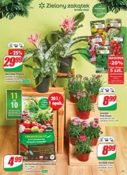 Gazetka promocyjna Dino - Gazetka - ważna od 03.06 do 03.06.2025 - strona 53 - produkty: Sok, Por, Grunt