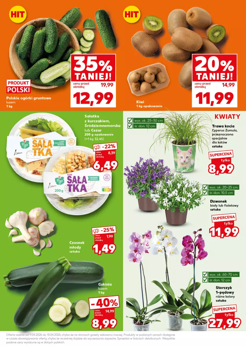 Gazetka promocyjna Kaufland - Mocny Start - ważna 13.04 do 15.04.2026 - strona 11 - produkty: Czosnek, Dzwonek, Koc, Kurczak, Storczyk