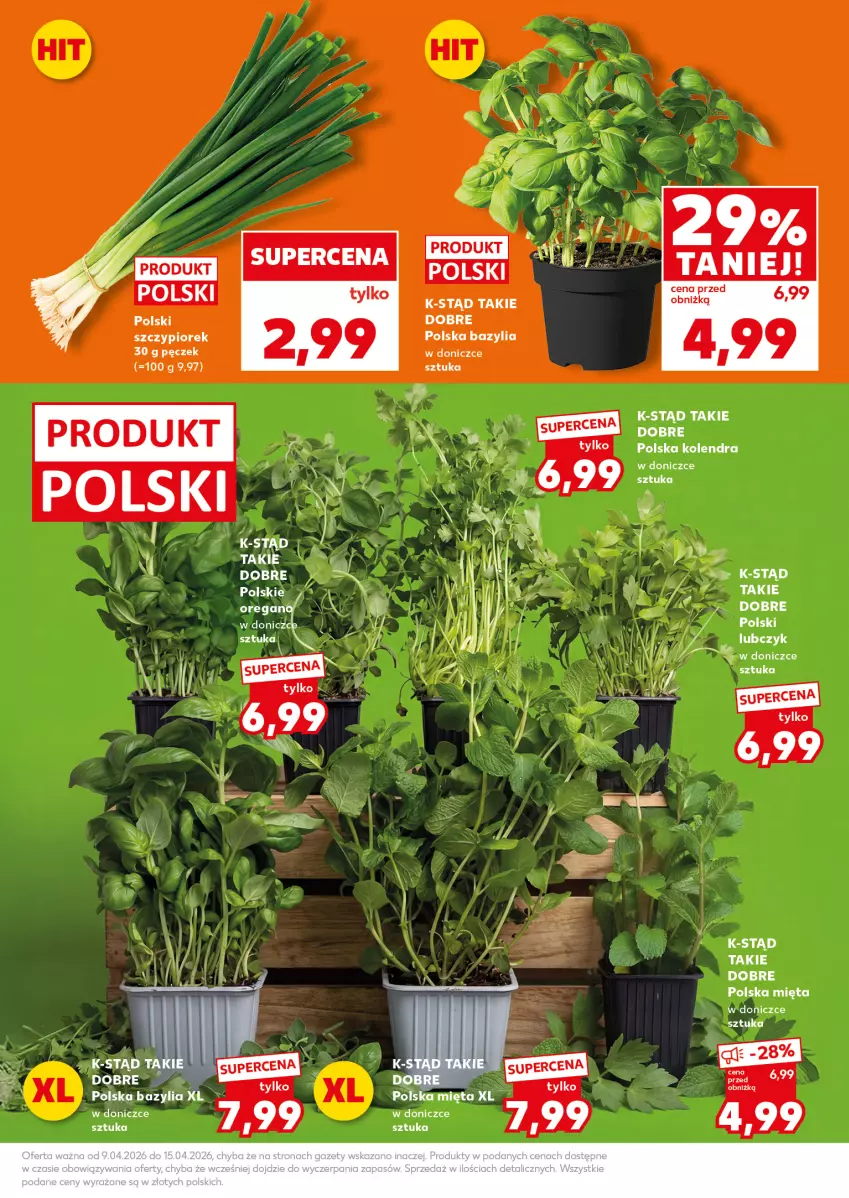 Gazetka promocyjna Kaufland - Mocny Start - ważna 13.04 do 15.04.2026 - strona 13 - produkty: Bazyl, Bazylia, Kolendra, LG, Mięta