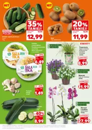 Gazetka promocyjna Kaufland - Mocny Start - Gazetka - ważna od 15.04 do 15.04.2026 - strona 11 - produkty: Kurczak, Koc, Dzwonek, Czosnek, Storczyk