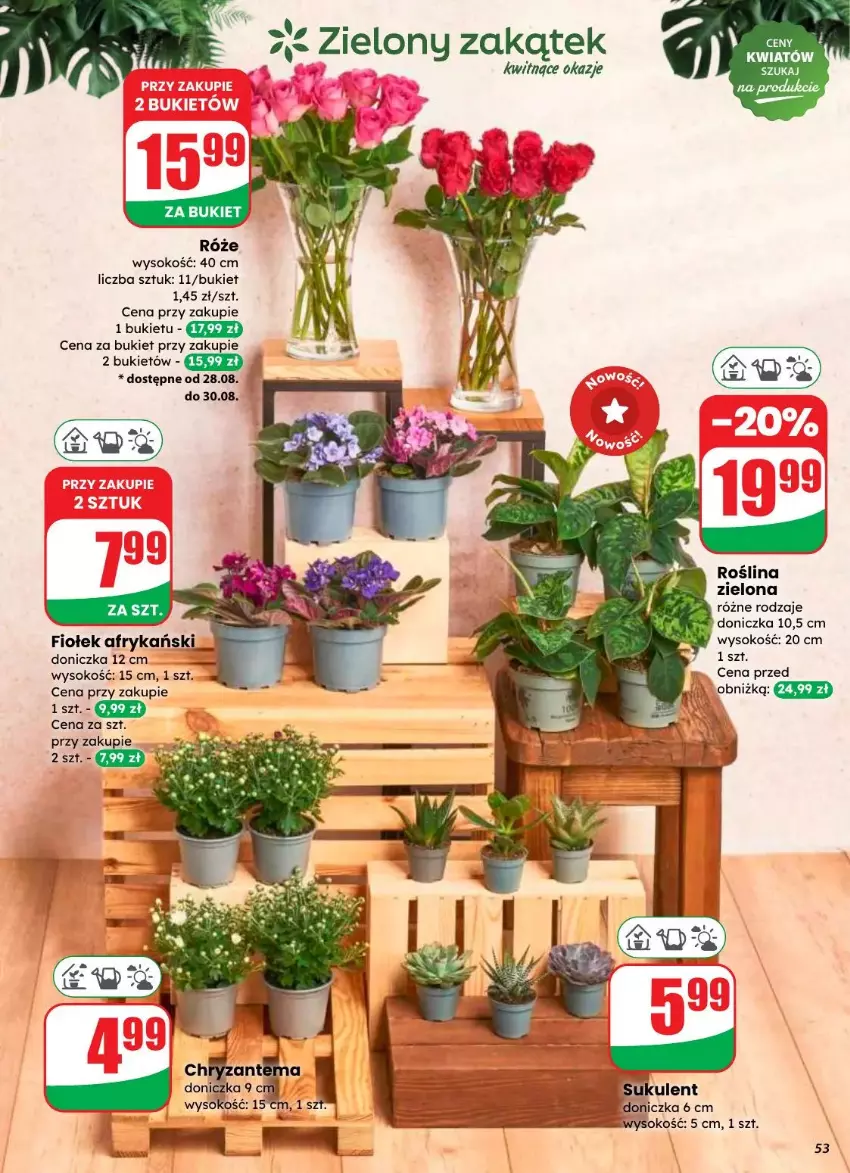 Gazetka promocyjna Dino - ważna 27.08 do 02.09.2025 - strona 49 - produkty: Bukiet, Sok