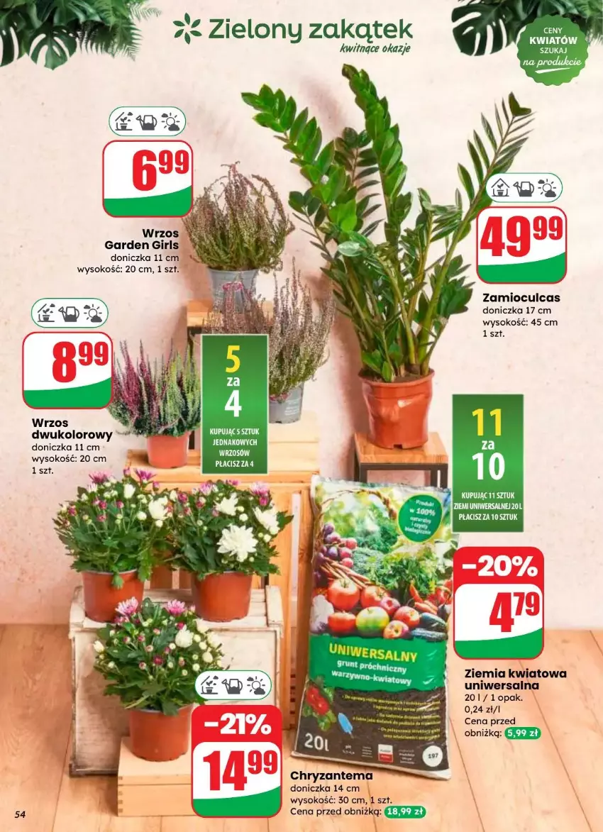 Gazetka promocyjna Dino - ważna 27.08 do 02.09.2025 - strona 50 - produkty: Chryzantema, Fa, Kask, Sok