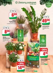 Gazetka promocyjna Dino - Gazetka - ważna od 02.09 do 02.09.2025 - strona 50 - produkty: Sok, Chryzantema, Kask, Fa