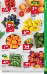 Gazetka promocyjna Stokrotka - Supermarket - Gazetka - ważna od 23.09 do 23.09.2026 - strona 11 - produkty: Mandarynki, Warzywa, Gra, Cytryny, Optima, Maliny, Owoce, Mięso, Nektar, Grejpfrut, Szpinak