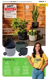 Gazetka promocyjna Netto - Katalog ogrodowy - Gazetka - ważna od 31.07 do 31.07.2024 - strona 3 - produkty: Por, Mus, Czosnek