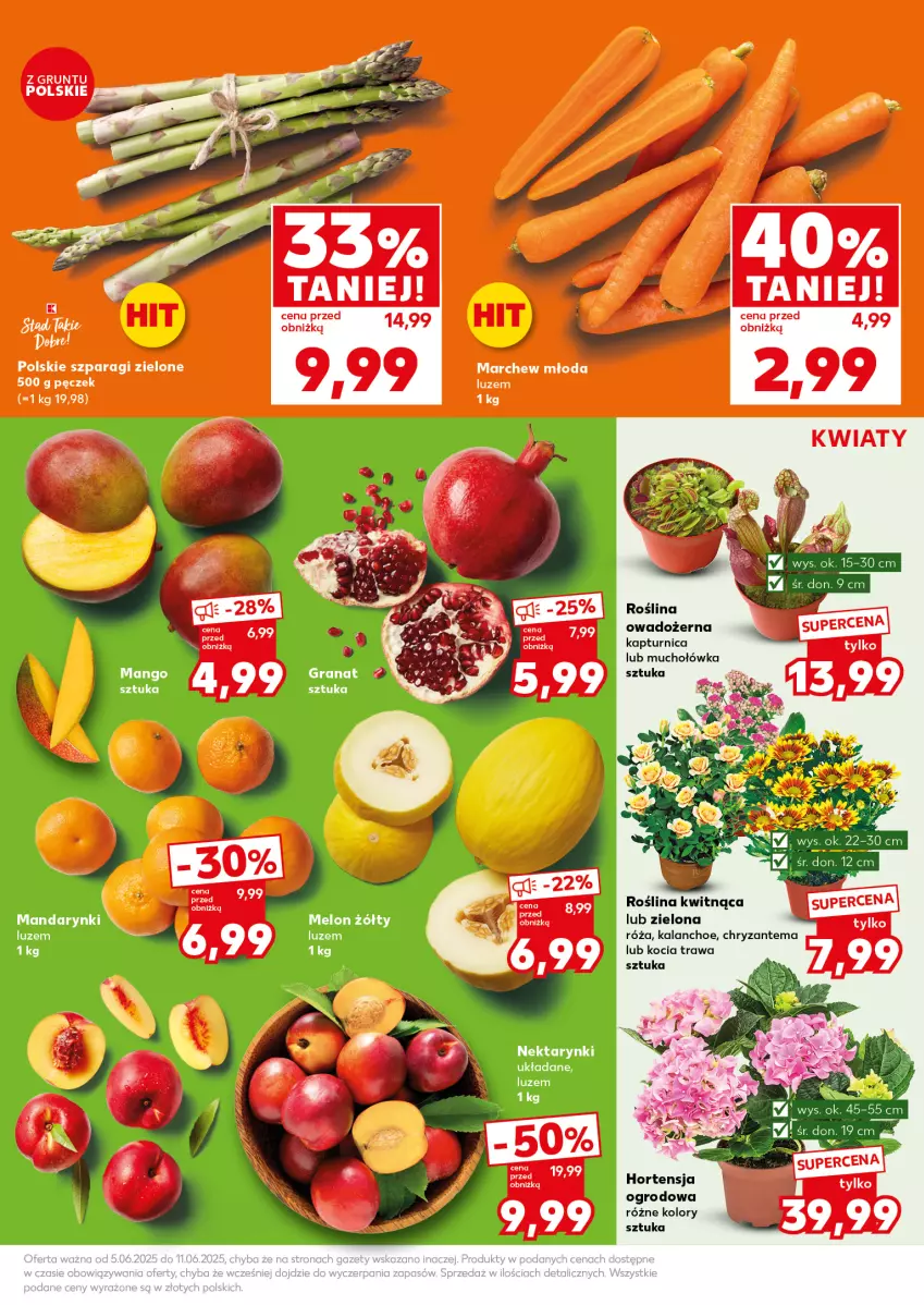 Gazetka promocyjna Kaufland - Mocny Start - ważna 09.06 do 11.06.2025 - strona 11 - produkty: Chryzantema, Grunt, Kalanchoe, Koc, Kocia trawa, Mandarynki, Nektar, Róża