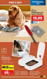 Gazetka promocyjna Lidl - Gazetka - ważna od 02.01 do 02.01.2026 - strona 16 - produkty: Szczotka, Vileda, Ręcznik