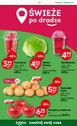 Gazetka promocyjna Żabka - Gazetka - ważna od 27.08 do 27.08.2024 - strona 49 - produkty: Warzywa, Sałata lodowa, Pomidorki, Ziemniaki, Siatka, Sałat, Owoce, Pomidory, Rzodkiewka