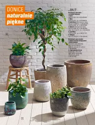 Gazetka promocyjna Obi - Gazetka OBI - Gazetka - ważna od 31.05 do 31.05.2023 - strona 30 - produkty: Bell, Venus, Mars, Candy, Osłonka, Fa