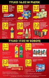 Gazetka promocyjna Biedronka - Gazetka - ważna od 17.02 do 17.02.2024 - strona 4 - produkty: Domestos, Ciastka, Gra, Wafelek, Kiwi, Bonitki, Sezam, Pudding, Płyn do wc, Knoppers, Ciastka owsiane, Przysmak dla psa, Fa