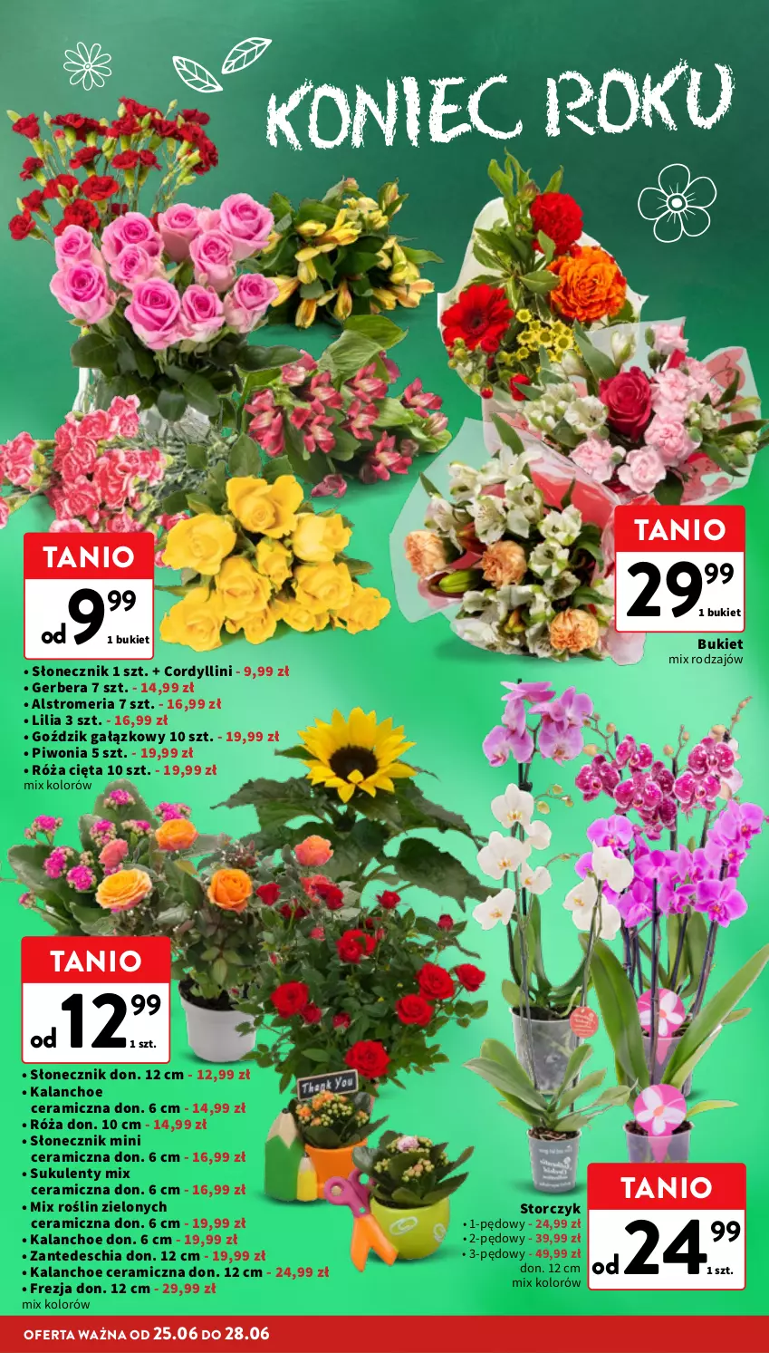 Gazetka promocyjna Intermarche - Gazetka promocyjna - ważna 25.06 do 01.07.2026 - strona 22 - produkty: Bukiet, Chia, Gerber, Kalanchoe, Piwo, Róża, Storczyk, Sukulent