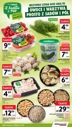 Gazetka promocyjna Intermarche - Gazetka promocyjna - Gazetka - ważna od 01.07 do 01.07.2026 - strona 11 - produkty: Piec, Warzywa, Ogórek, Sałat, Pieczarka, Owoce, Natka pietruszki, Mieszanka bakaliowa, Boczniak
